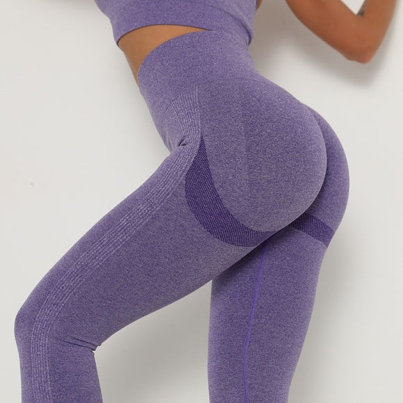 Aphrodite Seamless Leggings - Purple