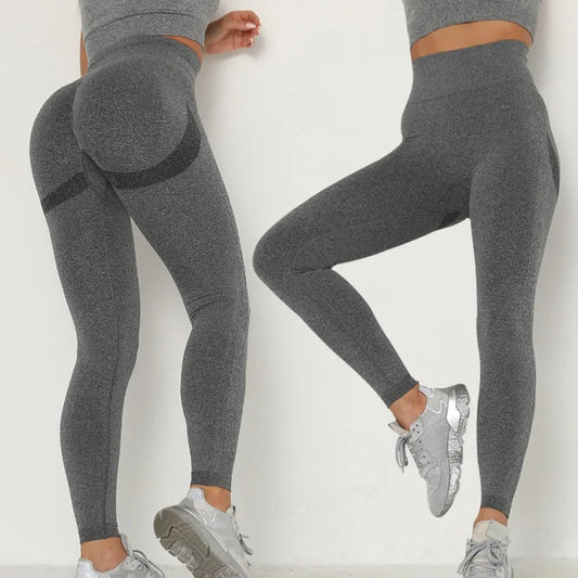 Aphrodite Seamless Leggings - Dark Grey